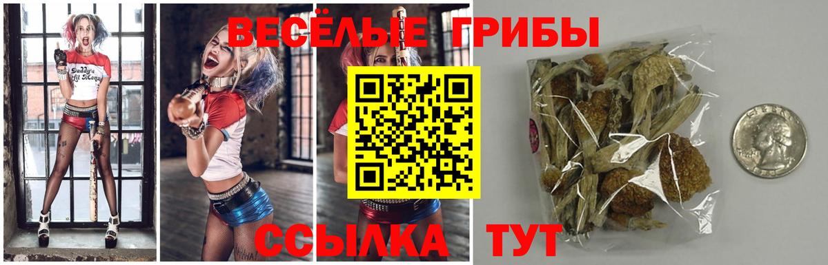 Псилоцибиновые грибы Cubensis Советск