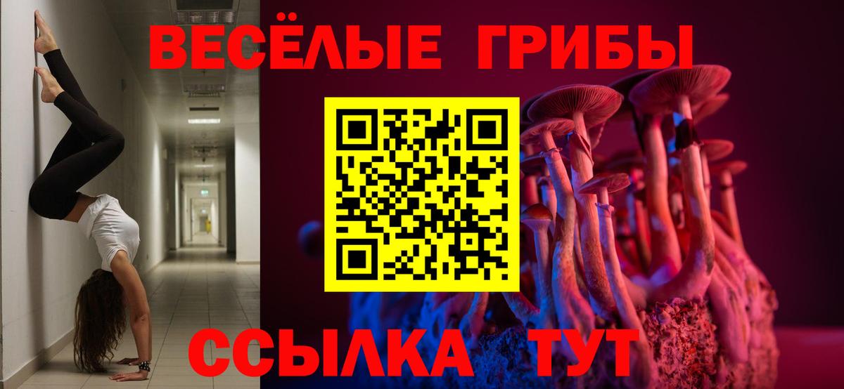 Псилоцибиновые грибы ЛСД  хочу   Вход с VPN  Советск  Галлюциногенные грибы прущие грибы 