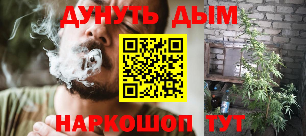 Конопля SATIVA & INDICA  Каннабис OG Kush  Вход с VPN  Советск  Бошки Шишки VHQ 